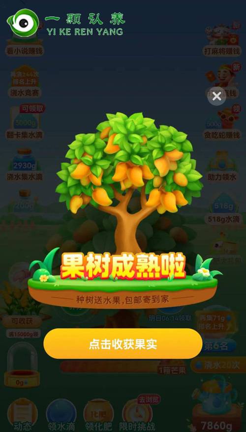 种树爸爸赚钱
