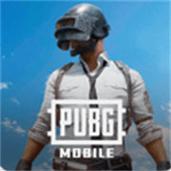 pubg轻量版北辰轻体直装缩略图