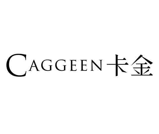卡金内置菜单