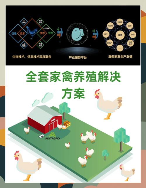 智慧养鸡红包版截图
