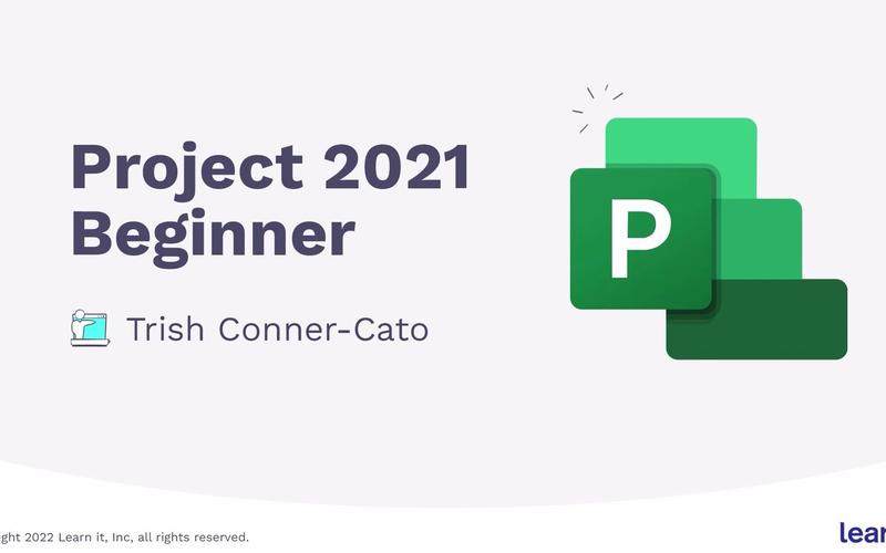 project破解版截图