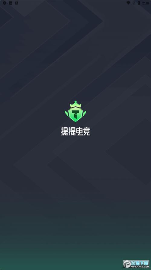 提提电竞无广告版