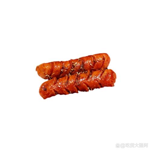 香肠视频xc0100截图