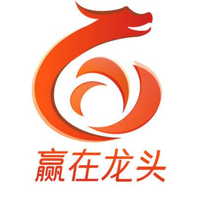赢在龙头腾飞全部视频精简版