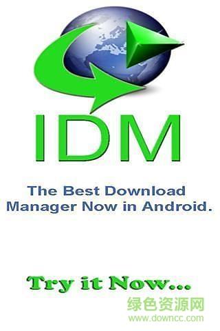 IDM