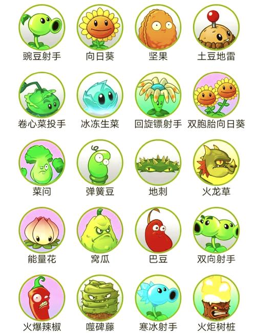 植物大战僵尸BT版