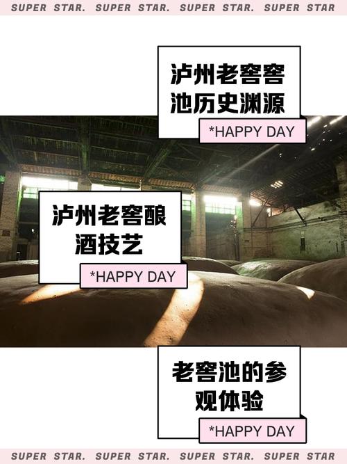 窖池视频抢先版图标