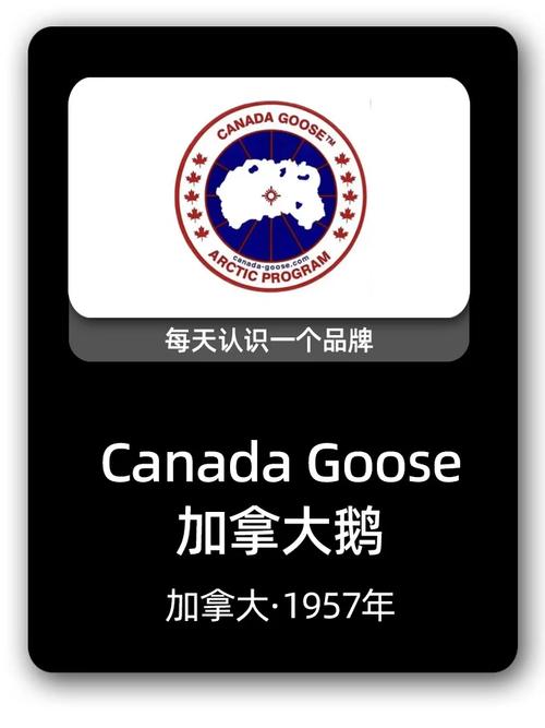 大鹅短视频
