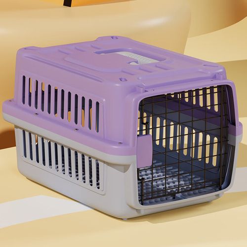 猫箱版本紫色版