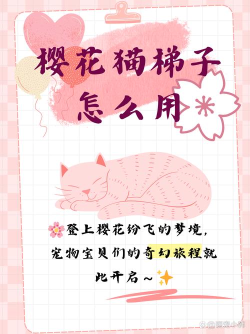 樱花猫梯子安装包解锁版