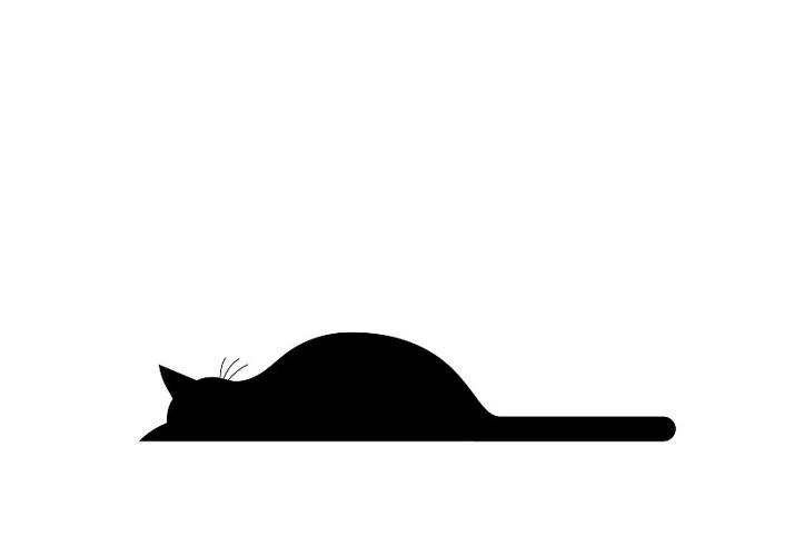 睡着的小猫咪无广告版