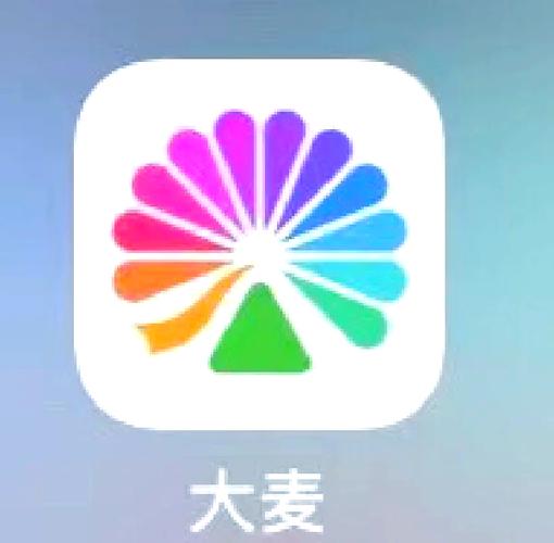 抢麦2024年免费安装