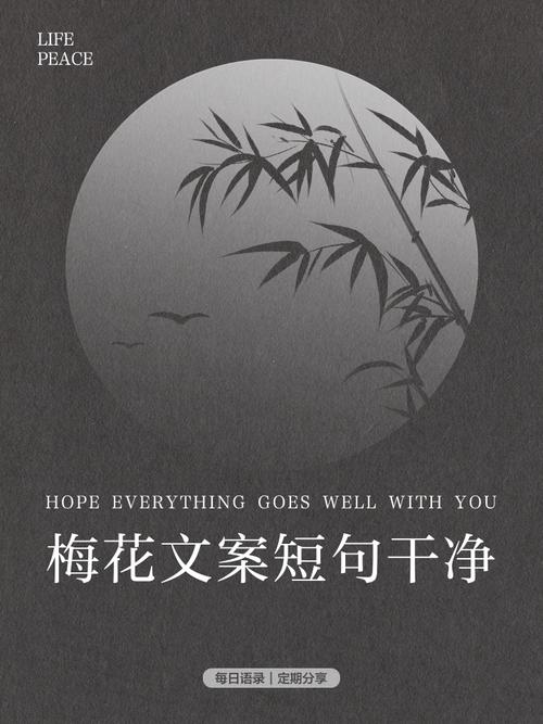 梅花网文案短句干净免费阅读