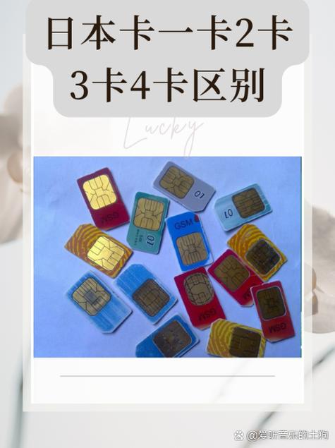 国产一卡二卡