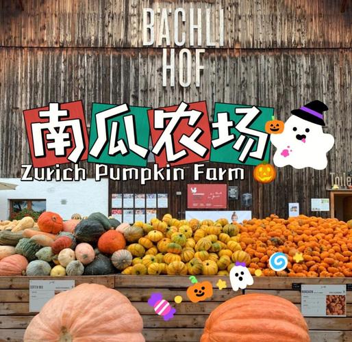 南瓜农场赚钱游戏图标