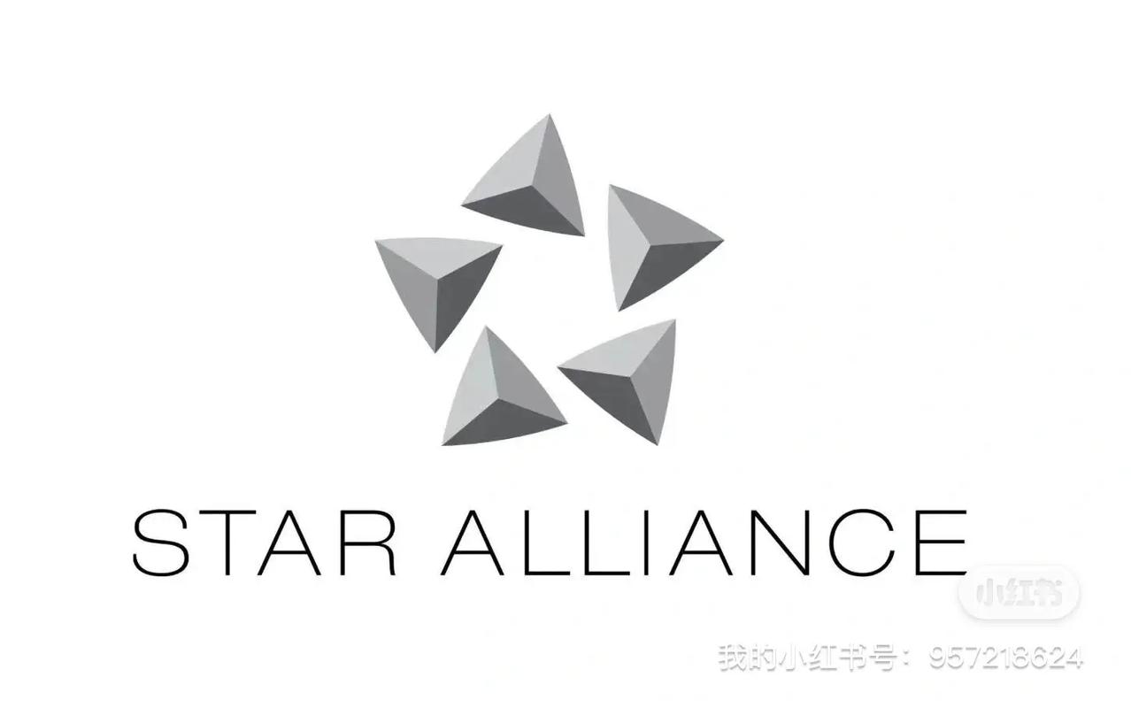 星芒联盟无限次数版