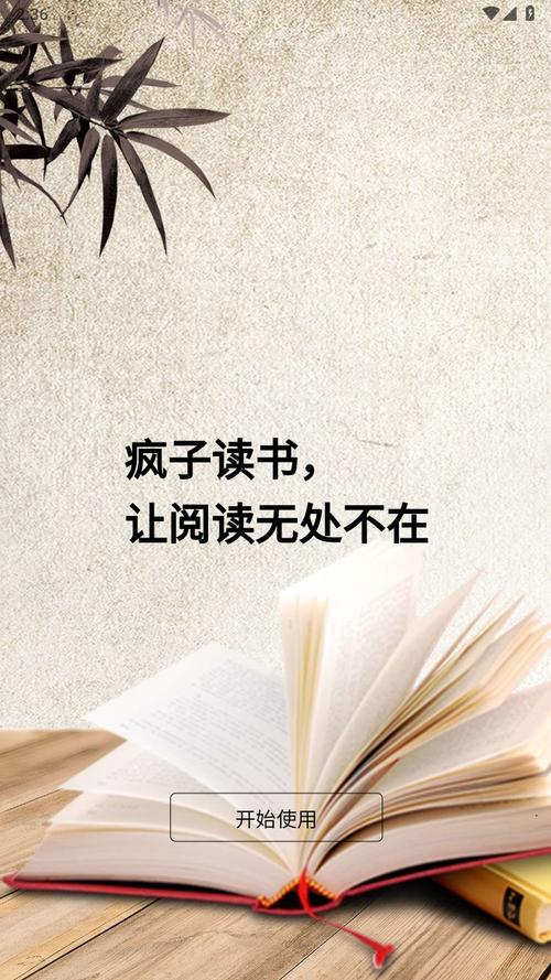 疯子读书