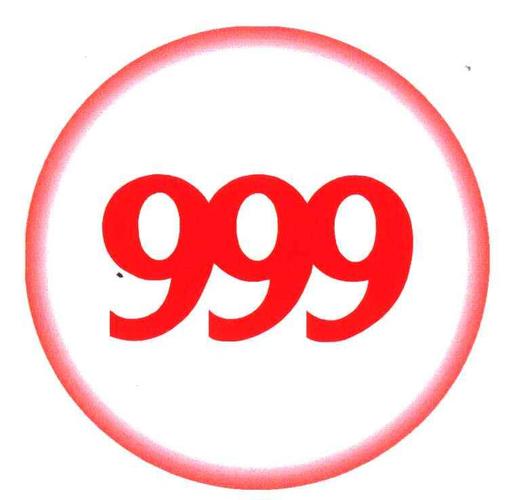 999‰在线阅读截图