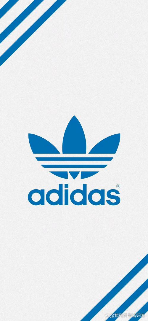 三叶草加速器破解版图标