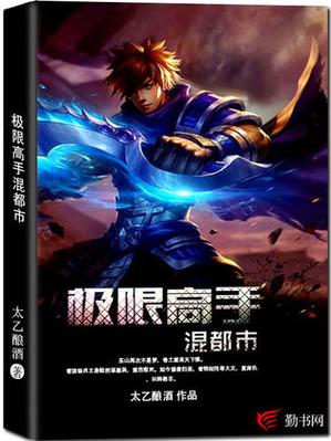 极限高手小说换源版