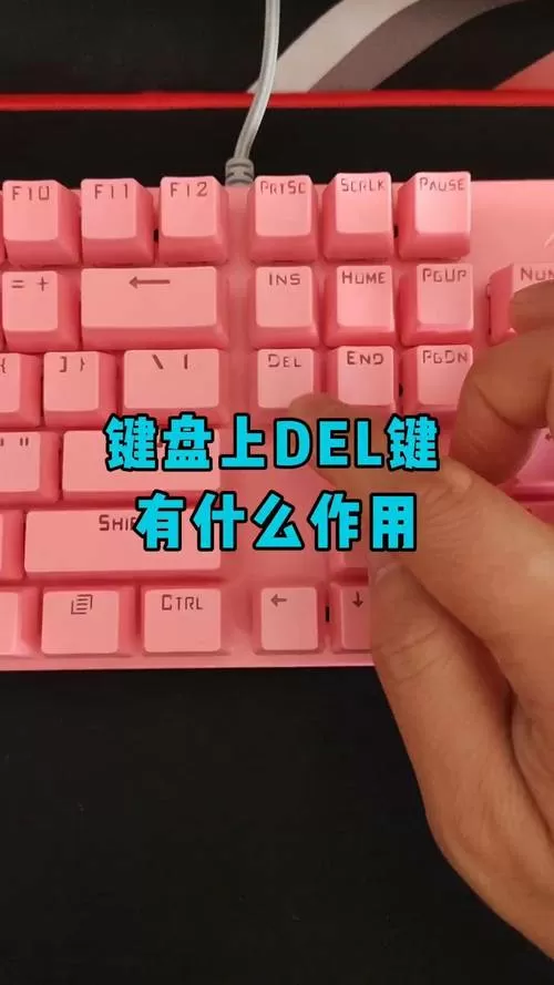 电脑的del键是哪个键图标