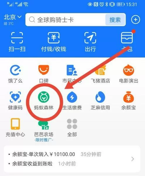 支付宝蚂蚁森林怎么删除好友截图
