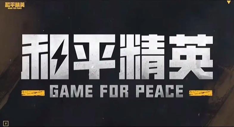 pubg 地铁逃生白色版截图