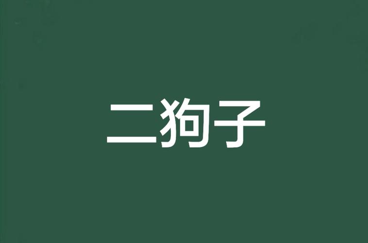二狗子新版本视频完整版截图