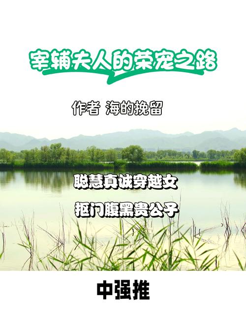 首辅夫人的荣宠之路小说绿色版汉化版