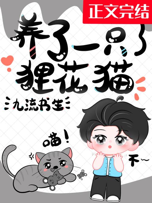 花猫小说最新版破解版永久免费截图