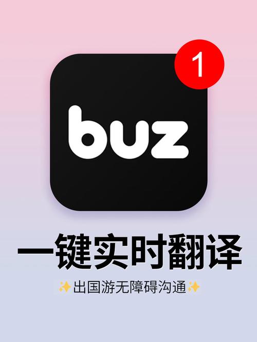 实时字幕翻译软件解锁版截图