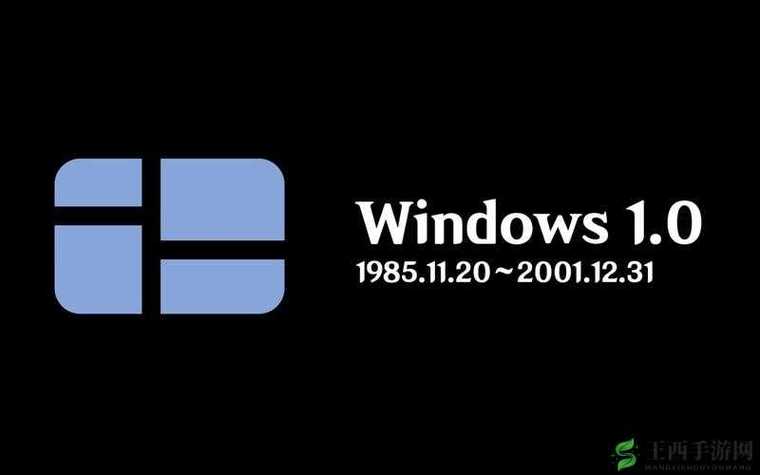 中国高清WINDOWS视频播放黑色老版