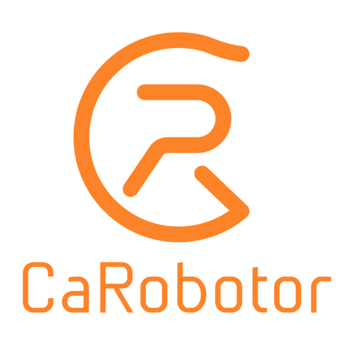 CA迷你科技安装防走失