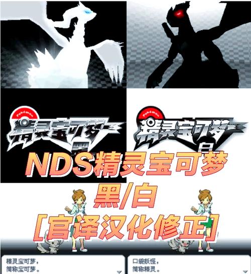 口袋妖怪黑白汉化