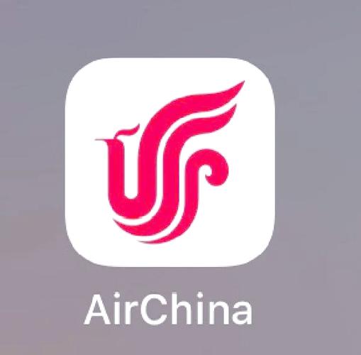 中国国航在线值机辅助踢腿缩略图