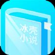 冰壳小说免费版攻略大全
