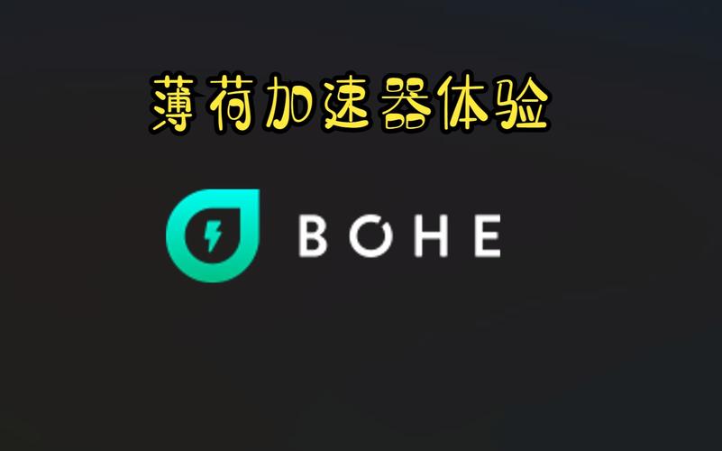 薄荷加速器app最新版本更新内容黑色版免墙版截图