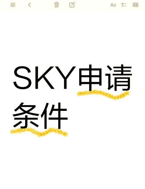 sky全物品免资格截图