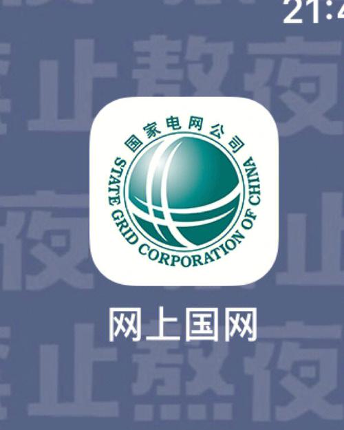 国网app官方内购版