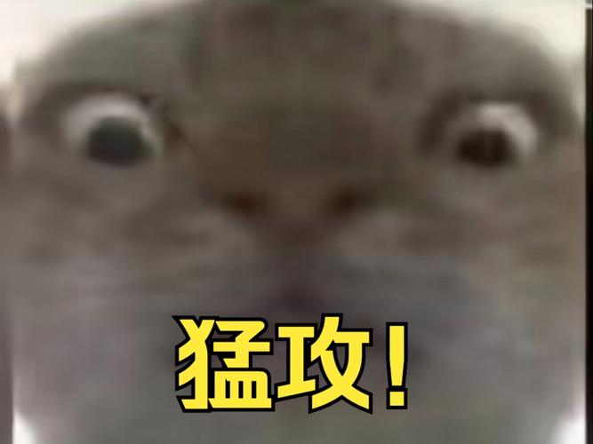 鼠鼠猛攻表情包游戏截图