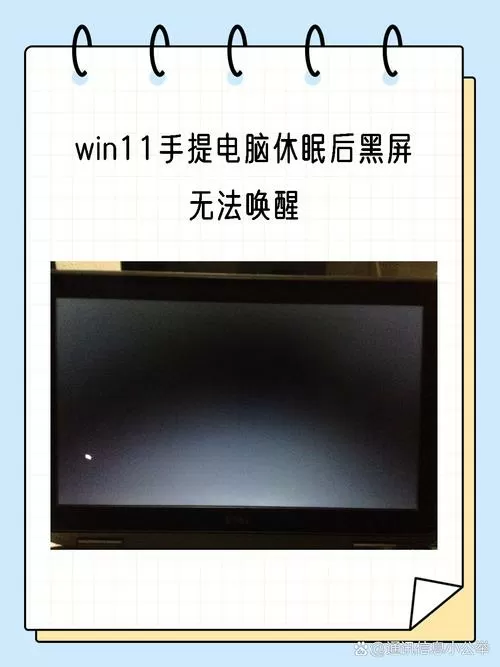 电脑待机后黑屏无法唤醒截图