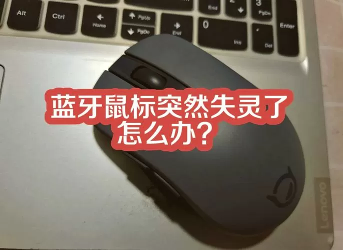 无线鼠标左右键失灵但能动