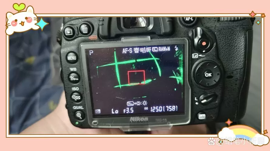 尼康d7000显示屏实时显示