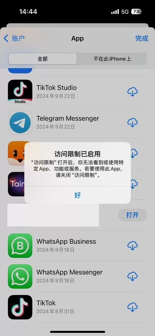 苹果手机访问限制