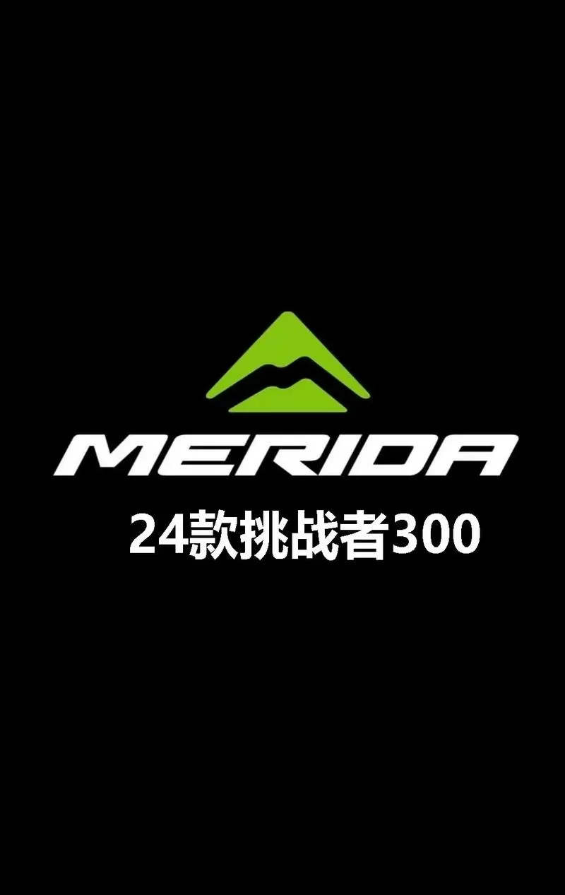 300元左右的山地自行车
