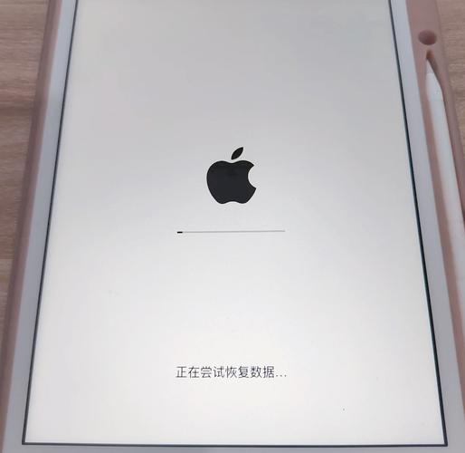 ipad显示两个白框开不了机