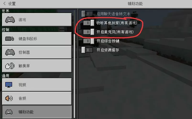 MC怎么开语音