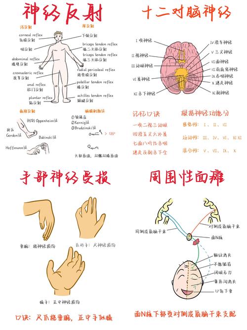 深反射和浅反射的意义