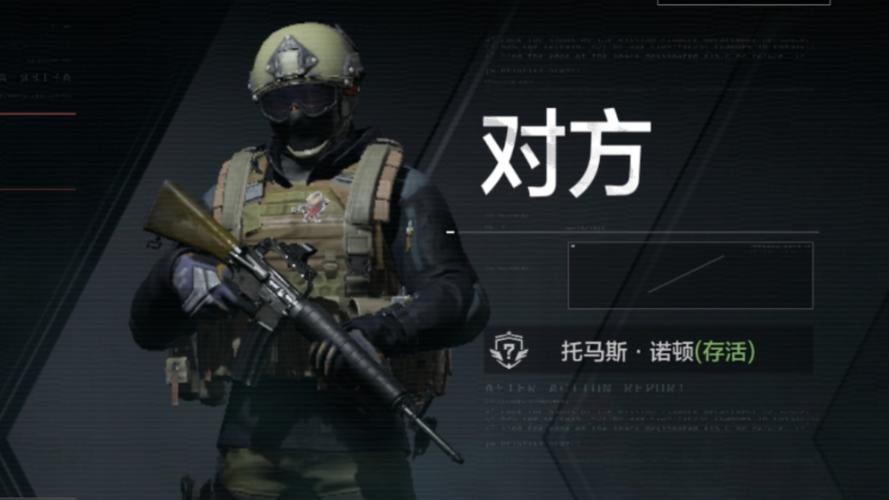 暗区十大最强人机