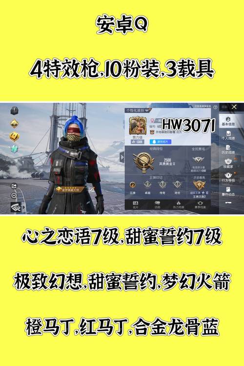 和平精英锁头挂平台购买缩略图